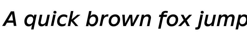 Preview of Neuwelt Text Medium Italic