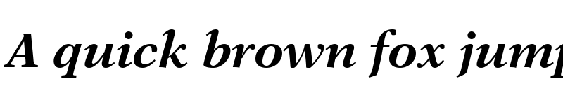 Preview of NewAster LT Bold Italic
