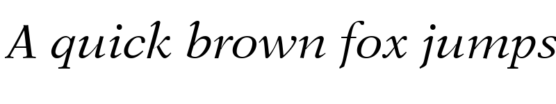 Preview of NewAster RomanItalic