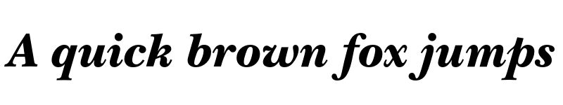 Preview of NewBaskervilleEF Black Italic