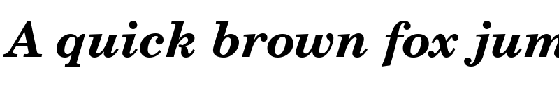 Preview of NewBrunswick Bold Italic