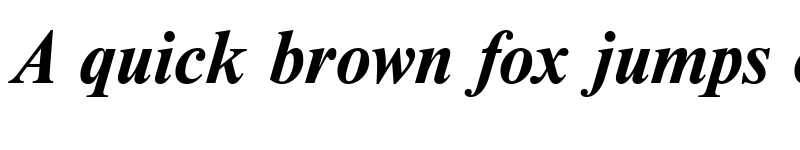 Preview of Newton Bold Italic