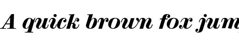 Preview of NormanBecker-Heavy Italic