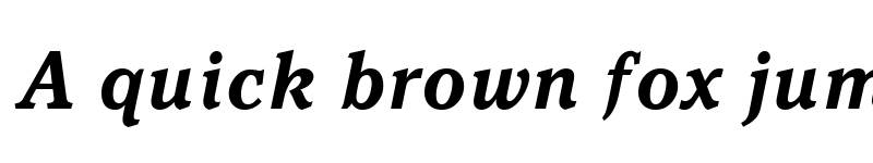 Preview of Pacella Bold Italic