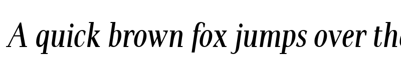 Preview of Pax Cond Italic