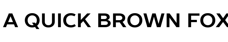 Preview of Prosto Sans Bold