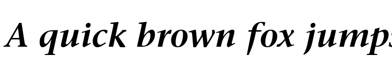 Preview of Prudential Bold Italic