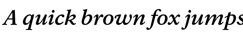 Preview of Rawlinson Bold Italic