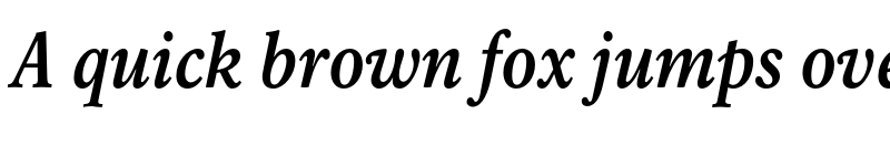 Preview of Rawlinson Cond Bold Italic