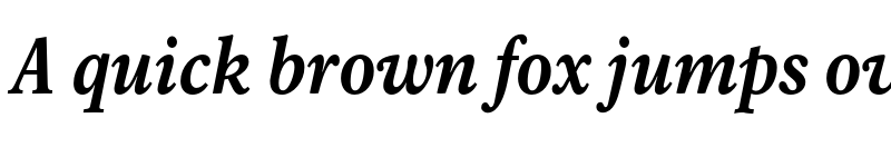 Preview of Rawlinson Cond Heavy Italic