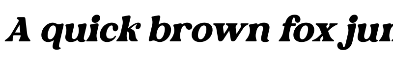 Preview of Rebori Italic