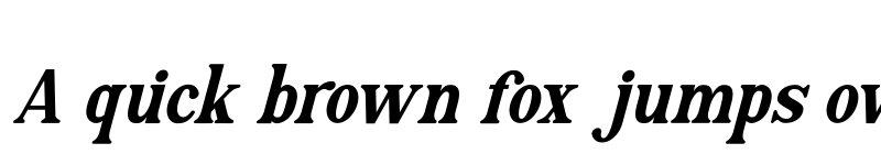 Preview of Regionaire Italic