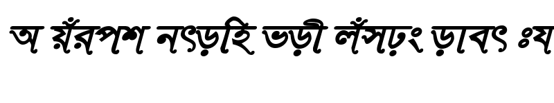 Preview of RinkiySushreeMJ Bold Italic