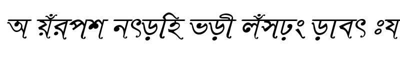 Preview of RinkiySushreeMJ Italic