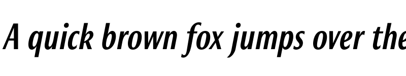 Preview of Roxy Medium Italic