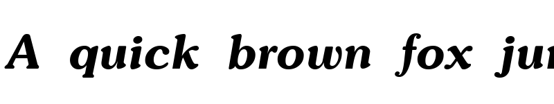 Preview of SoutaneExtrabold Italic