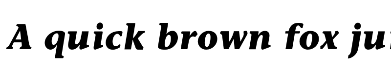 Preview of Stone Inf Bold Italic