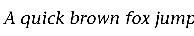 Preview of Stone Informal Italic