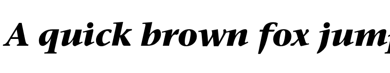 Preview of StoneSerifEF Bold Italic