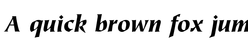 Preview of Tiepolo Black Italic