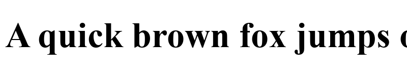 Preview of Times New Roman Bold
