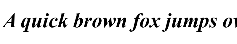 Preview of Times New Roman CE Bold Italic