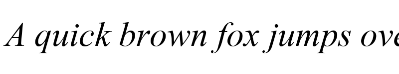 Preview of Times New Roman Mon Italic