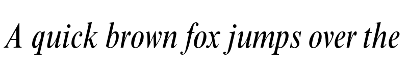 Preview of Times New Roman MT Condensed Italic