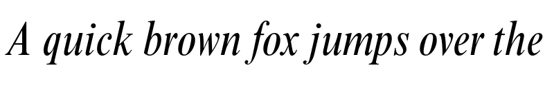 Preview of Times New Roman MT Std Condensed Italic
