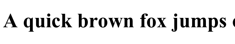 Preview of Times New Roman PS Bold