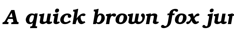 Preview of TR Bookman Bold Italic