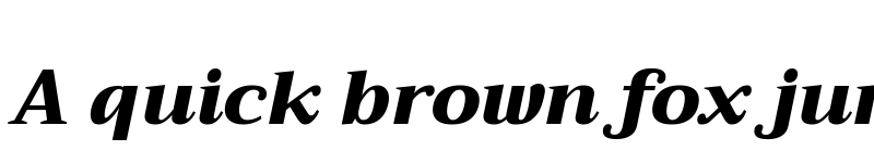 Preview of Trirong Black Italic