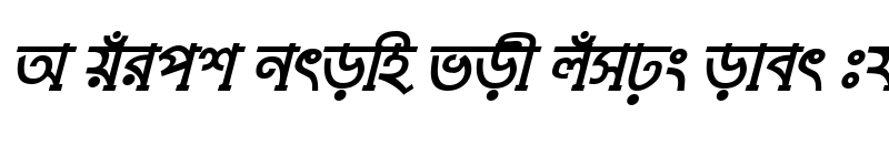 Preview of TuragSushreeMJ Bold Italic