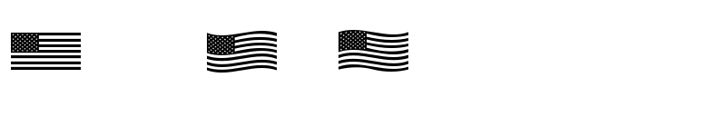 Preview of US Flag Regular