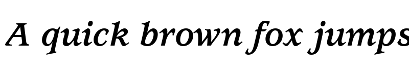 Preview of Usherwood LT Book Bold Italic