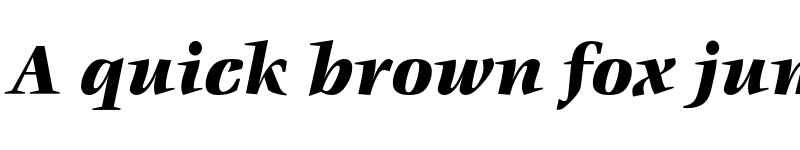 Preview of VeljovicEF Black Italic