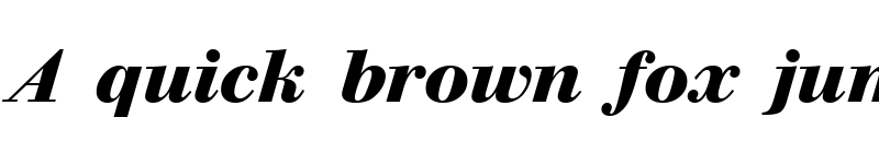 Preview of Walbaum Bold Italic