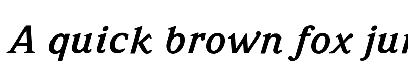 Preview of Weidemann Bold Italic