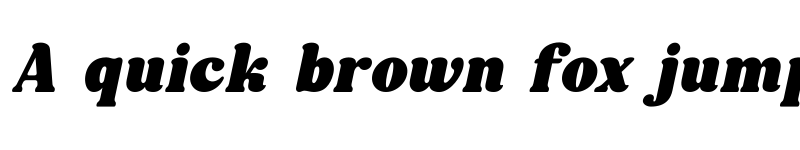 Preview of Willow Italic