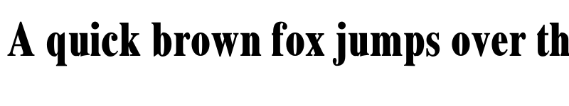 Preview of Xerox Serif Narrow Bold