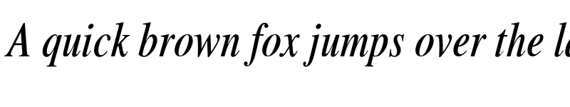 Preview of Xerox Serif Narrow Italic