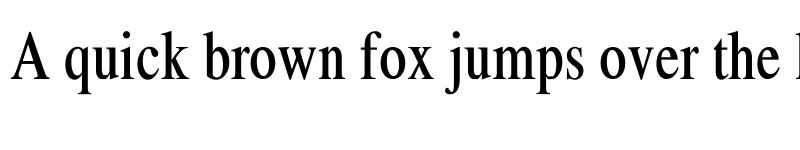 Preview of Xerox Serif Narrow Regular